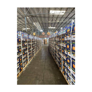 Top Selling Best Quality <b>Fresh</b> Navel/Valencia Orange Natural Sweet and Delicious Bulk <b>Citrus</b> <b>Fruit</b> for Buyers - Product Image 1