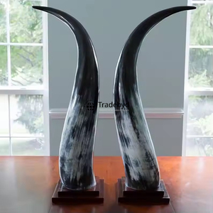 Tradebyd Unique Artisanat en corne artisanale Art décoratif de qualité supérieure Style de maison de luxe écologique - Product Image 1