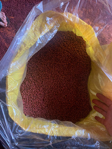 เมล็ดอันนาโตแห้งเกรดพรีเมียมสำหรับสีผสมอาหารจากธรรมชาติและเครื่องเทศรสเข้มข้น เมล็ดอันนาโตจำนวนมากจากซัพพลายเออร์เวียดนาม - Product Image 6