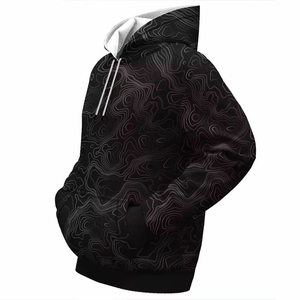 Top Fashion pulls à capuche pour hommes haute qualité impression 3D coton tissu hiver saison bas quantité minimale de commande 3d impression sweats à capuche - Product Image 3