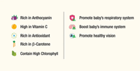 Gezondere Keuze Botanische Fruit- en Groentesap Suiker-Vrij Aromatiserend Appel Druif Kant-en-klaar voor baby's 19 Fruit & Groenten Doos