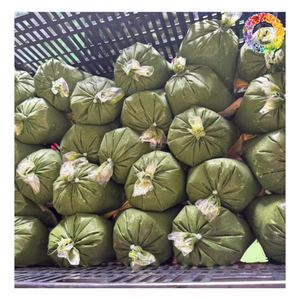 Feuilles de manioc hachées congelées, feuilles de Manihot esculenta Crantz de qualité supérieure, idéales pour la transformation des aliments, feuille de manioc congelée - Product Image 1