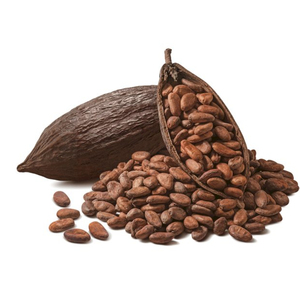 Granos de cacao tostados naturales al por mayor, suministro de exportación a granel de grado A para la fabricación de chocolate y Global - Product Image 1