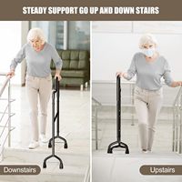 Canne d'aide à monter les escaliers, dispositif d'aide à monter les escaliers pour personnes âgées avec hauteur réglable, s'adapte à la plupart des marches standard