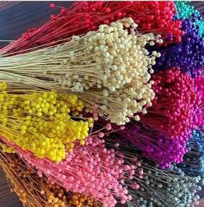 Flores Secas de Lavanda Preservadas de Alta Calidad Cósmica, Flores Secas Naturales Teñidas, Baby Breath de Larga Duración, Ecológicas para Bodas y Navidad - Product Image 3