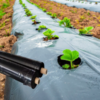 Film de paillage agricole noir en PE biodégradable renforcé, de qualité alimentaire, avec stabilisateur UV, résistant à l'humidité, pour riz et viande