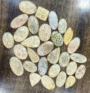 Cabochon de corail fossile naturel de haute qualité pierre précieuse en vrac en forme de perle et de mélange pierre semi-précieuse pour bague fabrication de bijoux cabines - Product Image 2