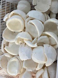 Viande de noix de coco naturelle congelée: blanche, parfaite pour les desserts et la crème glacée, fabriquée par des fournisseurs vietnamiens pour les marchés mondiaux - Product Image 2