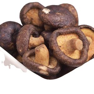 CHAMPIGNONS SHIITAKE SÉCHÉS CROQUANTS/FAITURE GOURMANDE SAINE/FABRIQUÉ AU VIETNAM - Product Image 1