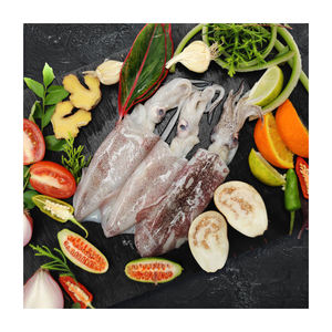 Calamar entero congelado de calidad de exportación, suministrado para reventa a granel y canales comerciales - Product Image 3