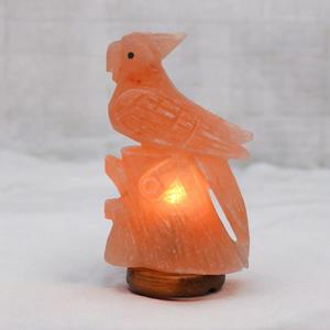 GMP Certified Animal Shape Himalayan <b>Salt</b> <b>Lamp</b> Set Organic Carved Electric Cord and <b>Bulb</b> for Home Decoration And Health - Product Image 5