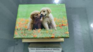 Vente en Gros Personnalisation Simple Fait à la Main Carré en Bois de Sesham Urne de Crémation en Bois pour Cendres d'Animaux de Compagnie Adulte - Product Image 6