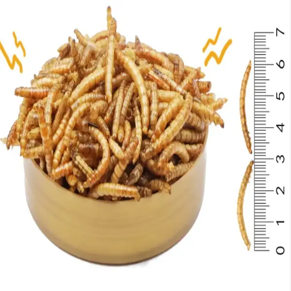 동물과 조류 사료를 100% 자연 건조 라이브 높은 영양 mealworms