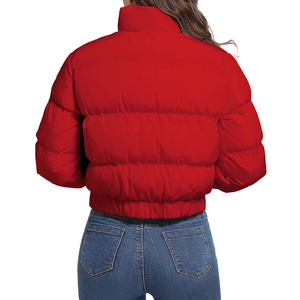 Doudoune matelassée pour femmes bulle mode hiver fermeture éclair compressible écologique coupe-vent nouveauté - Product Image 2