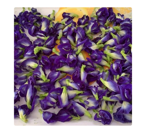 Vietnam Export Manufacturer Processing butterfly pea flower with Reliable Uniform butterfly pea flower - Product Image 1