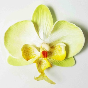 Cao Cấp Phong Cách Hình Xăm In Mô Hình Phalaenopsis Bọt Hoa Hairgrips Phụ Kiện Độc Đáo Gói 100 Handmade Tóc Pins Clip - Product Image 6