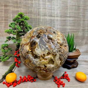 Esfera de Coral Agatizado Natural, Bola de Cristal de Coral Fósil Grande, Especímen Mineral Pulido, Piedra de Exhibición para Coleccionistas - Product Image 6