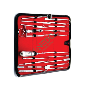 Instrument de nettoyage des dents dentaires manuel de haute qualité 20 pièces calcul du tartre et dissolvant de Plaque grattoir à dents matériau en acier - Product Image 1