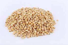 Grains de sorgho blanc séchés de qualité supérieure en provenance des Pays-Bas en vrac pour la consommation humaine et l'utilisation agricole - Product Image 6