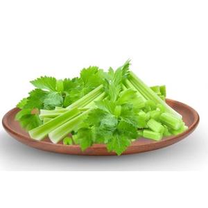 Poudre d'extrait de céleri Ingrédient naturel de céleri pour les aliments fonctionnels et les compléments alimentaires Fournisseur en gros OEM - Product Image 5