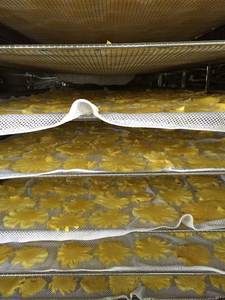 Croustilles d'ananas déshydratés ananas séchés sucrés // Shyn Tran - Product Image 4