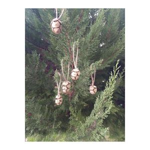 5 pezzi corda pigna albero di pino natale ornamento per feste per Hobby forniture di colore Glitter oro 15868