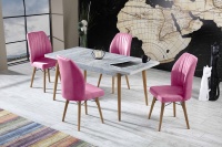 Ensemble de table à manger moderne avec 4 chaises - Bois écologique extensible, meubles durables de haute qualité, utilisation à domicile ou au restaurant, meilleur choix