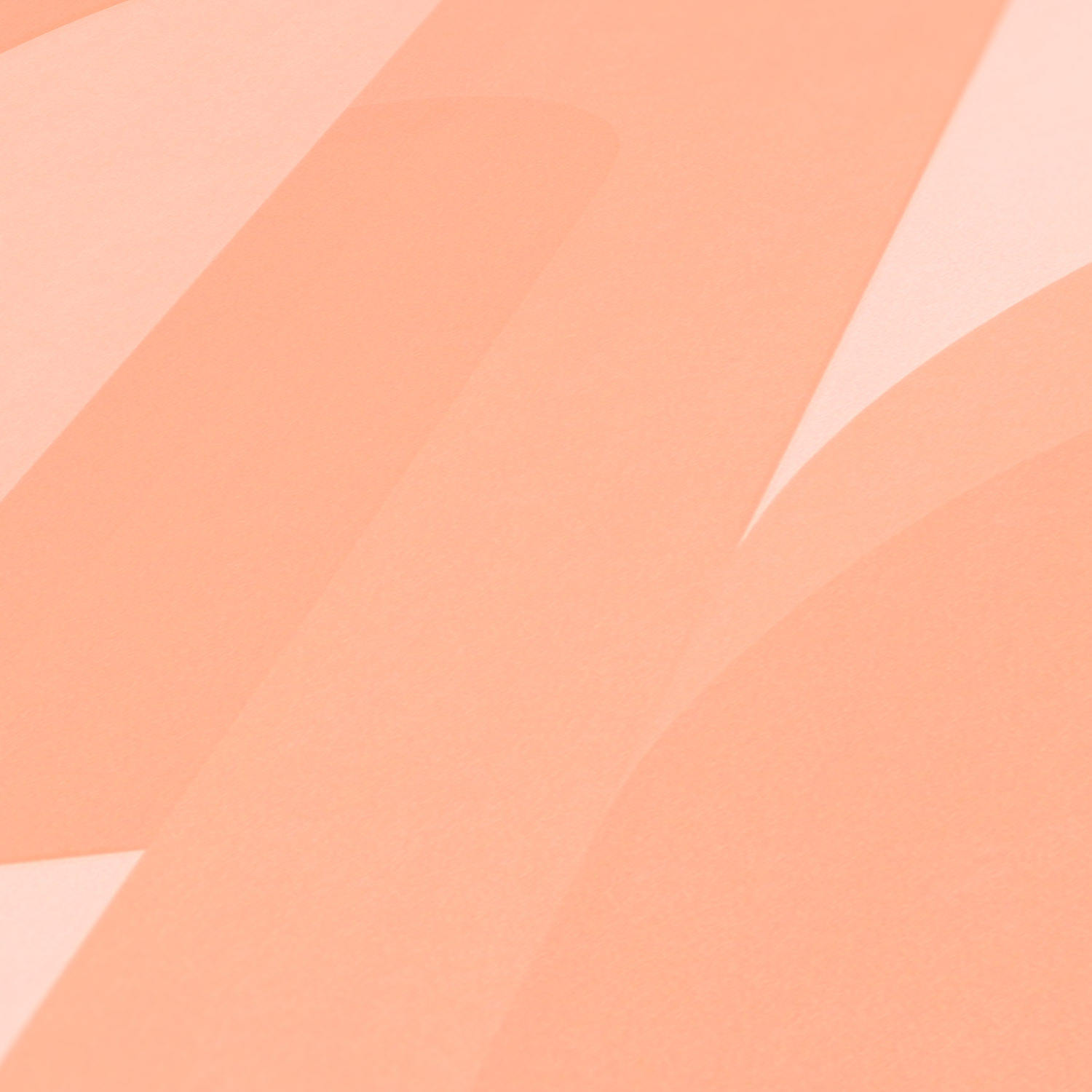 สีส้มสีเบจ