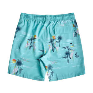 <b>Men's</b> Summer Beach Jogger <b>Shorts</b> Elastic Quick Dry Swimwear with Pocket Wholesale Painted Decoration <b>Jogging</b> <b>Shorts</b> - Product Image 3