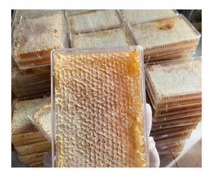 รังผึ้งออร์แกนิกน้ำผึ้งสด500กรัม - Product Image 1