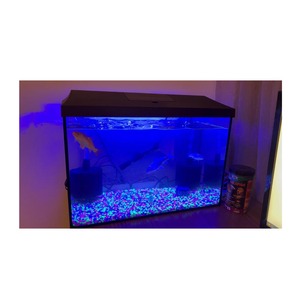 Petit aquarium de ménage écologique en plastique transparent personnalisé Mini aquarium de poissons Koi - Product Image 6