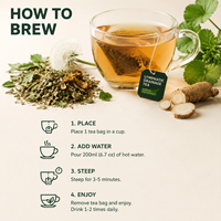 Tisane Naturelle de Racine de Pissenlit du Shaanxi pour Drainage Lymphatique, Détoxification Corporelle, Perte de Poids et Soutien Immunitaire