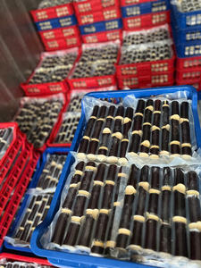 Oferta promocional de palitos de caña de azúcar congelados de Vietnam, cortados uniformemente, fáciles de manejar, para tiendas de jugos, cafeterías y cocinas comerciales - Product Image 5