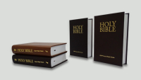Bible personnalisée de haute qualité avec reliure parfaite, couverture rigide, impression couleur intégrale, gaufrage, papier offset, carton ondulé