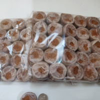 Fournitures de jardin écologiques Granulés de tourbe de coco | Disque de coco | Bouchon de coco | Kit de démarrage de graines avec granulés de terreau du Vietnam