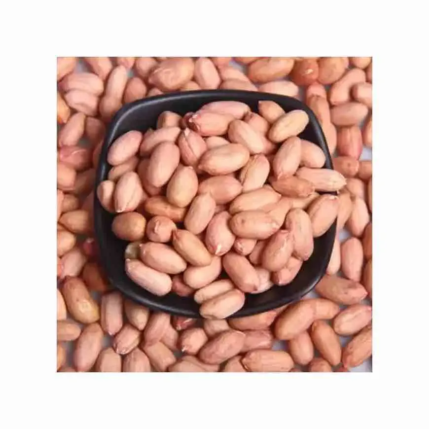 High Quality cheap organic Peanut ,Dried Kernel Peanuts Groundnut Raw/Fresh Red Skin groundnuts with cheap price
