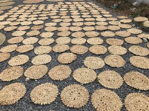 Alfombra de algas marinas ecológica hecha a mano, alfombra redonda rústica para suelo, alfombra Natural duradera para comedor y Decoración de cocina - Product Image 5