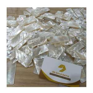 SEASHELL BLANC MOSAÏQUE PLACAGE DE PERLE INSTALLATION POUR LE BRICOLAGE NATUREL MÈRE DE PERLE INLAY SEASHELL SOUPER GLOW - Product Image 2