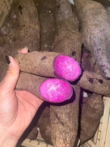 มันเทศแช่แข็งคุณภาพสูง-สินค้าจำนวนมากราคาโรงงานต่ำมาตรฐานการส่งออกข้อเสนอที่ดีที่สุดต้นทุนการแข่งขันการจัดส่งทั่วโลกที่รวดเร็ว - Product Image 6