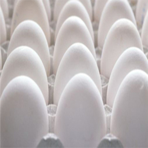 Œufs frais de la ferme indienne de qualité supérieure à coque blanche du Tamil Nadu riches en nutriments et en calcium, meilleurs pour la santé - Product Image 2