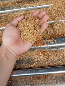 Than bùn dừa làm từ xơ dừa: giữ lại độ ẩm và chất dinh dưỡng, Mua than bùn Coco: Đất thân thiện với môi trường cho nhu cầu làm vườn - Product Image 5