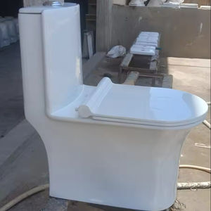 ตู้เก็บน้ํา One Piece ห้องน้ําราคาถูกผลิตในอินเดีย เซรามิกไฮดรอลิกช้าลงฝาครอบที่นั่งระบบล้างคู่ - Product Image 1