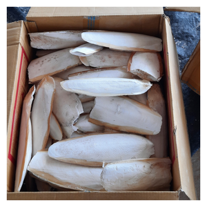 Hueso de sepia natural para suministro de calcio para pájaros y afilado de picos, adecuado para loros, canarios y otras mascotas pequeñas - Product Image 5
