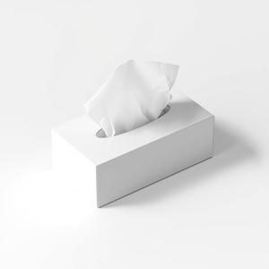 กล่องกระดาษทิชชู 2 ชั้น Ruby Paper Eco Packaging ผลิตจากวัสดุที่ยั่งยืน สำหรับการเดินทาง ห้องพักโรงแรม และโต๊ะทำงานในสำนักงาน - Product Image 4