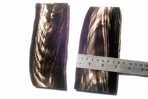 Plaques en corne les plus vendues avec plaque en corne de forme carrée au meilleur prix disponible pour les exportations plaque en corne de buffle par l'artisanat en croissant - Product Image 3