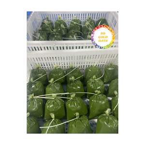 ใบมันสำปะหลังแช่แข็งผลิตภัณฑ์จากธรรมชาติจากเวียดนามสำหรับการส่งออกและการผลิตการทำอาหาร - Product Image 4