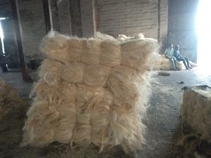 Venta al por Mayor de Fibra de Sisal Empacada en Fardos de 100 Kg, 200 Kg y 250 Kg con Empaque Personalizado Disponible a Precio Económico - Product Image 2