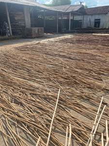 ก้านหวายหวายวัตถุดิบจากเวียดนาม - Product Image 5