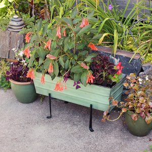 Jardinière de fenêtre galvanisée-vert-moyen pour balustrade vert foncé, jardinière de fenêtre avec supports - Product Image 4