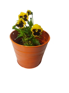 Pot de fleurs en métal artisanal de luxe, élégant et décoratif pour la maison et le jardin - Product Image 3